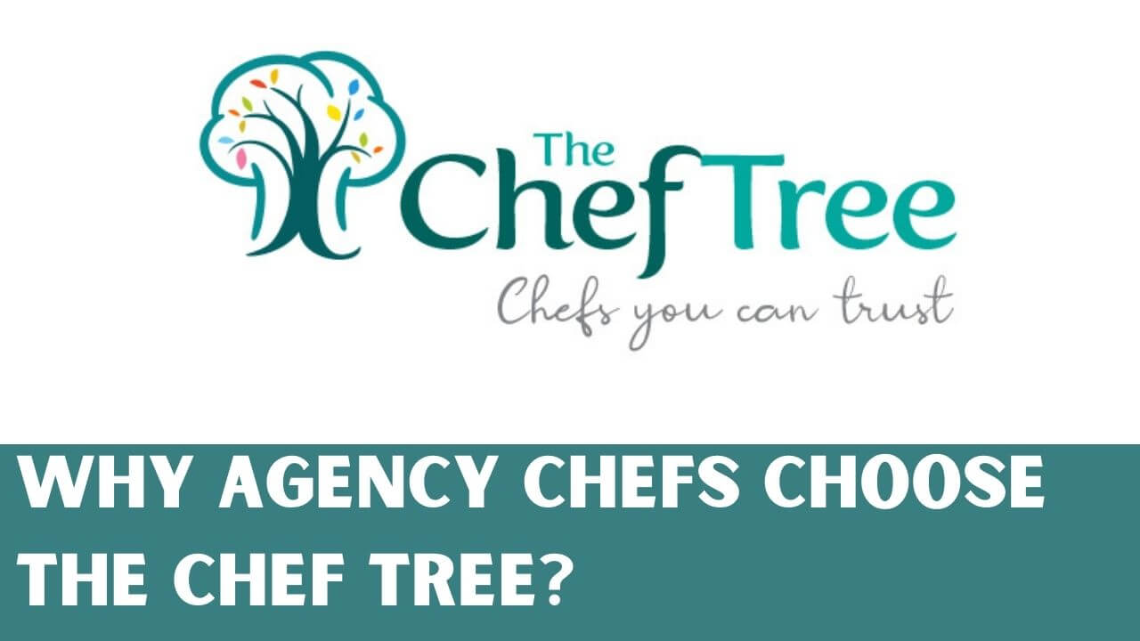 Why Agency Chefs Choose The Chef Tree