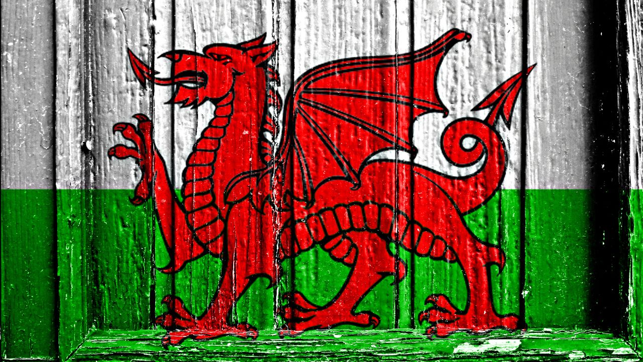 A chef frying food in a wok